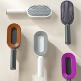 Self-Cleaning Hair Brush for Women – Anti-Static Scalp Care Tool